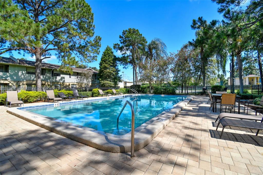 Outdoor swimming pool with paver deck, lounge chairs, and surrounding palms.