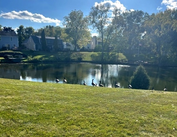 36 Fallcreek Circle Unit: 0