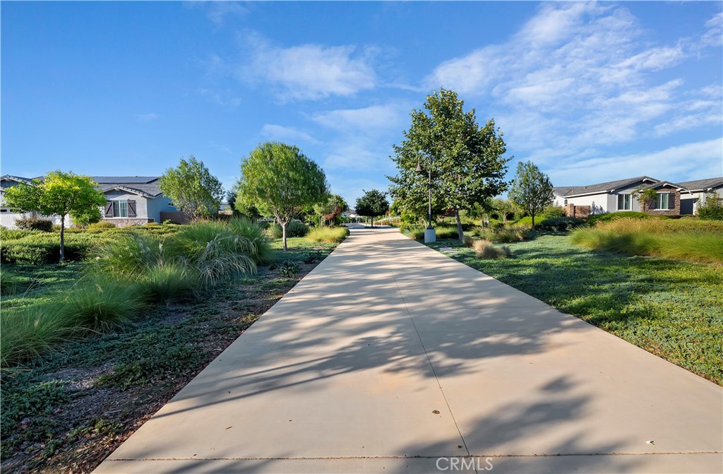 34567 Silky Dogwood Drive