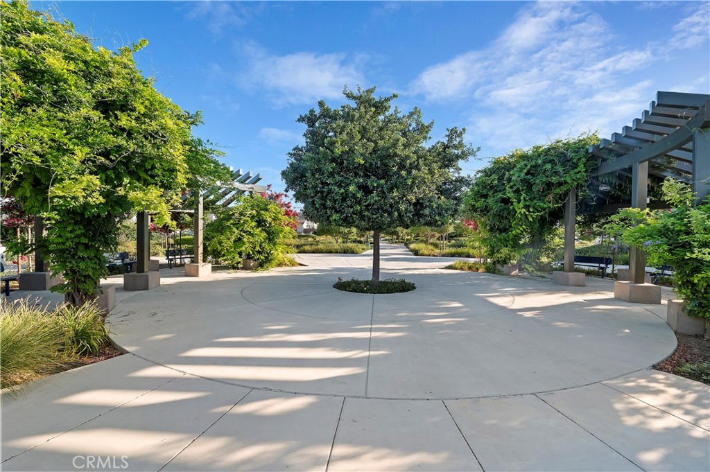 34567 Silky Dogwood Drive