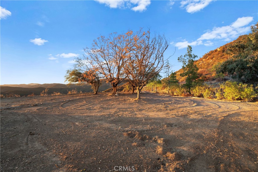 39555 Vista Del Bosque
