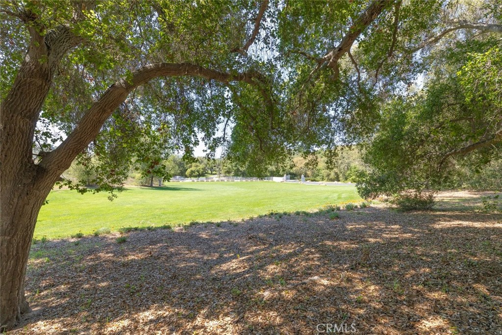 20246 Avenida De Arboles