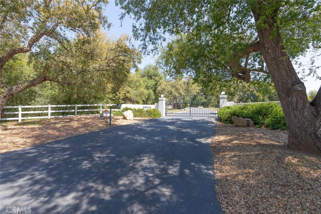 20246 Avenida De Arboles
