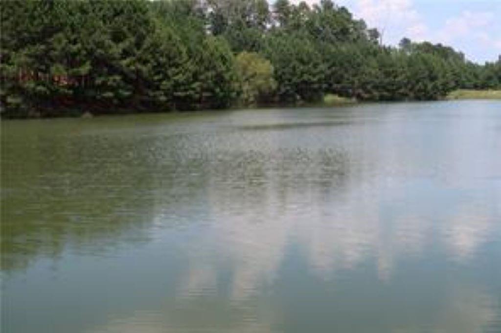 1259 Lakeside Overlook