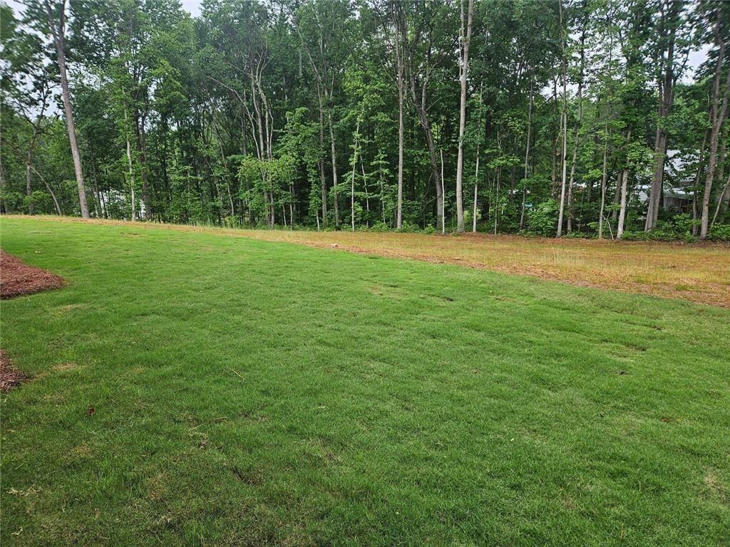 8180 Scarlett Grace Lane