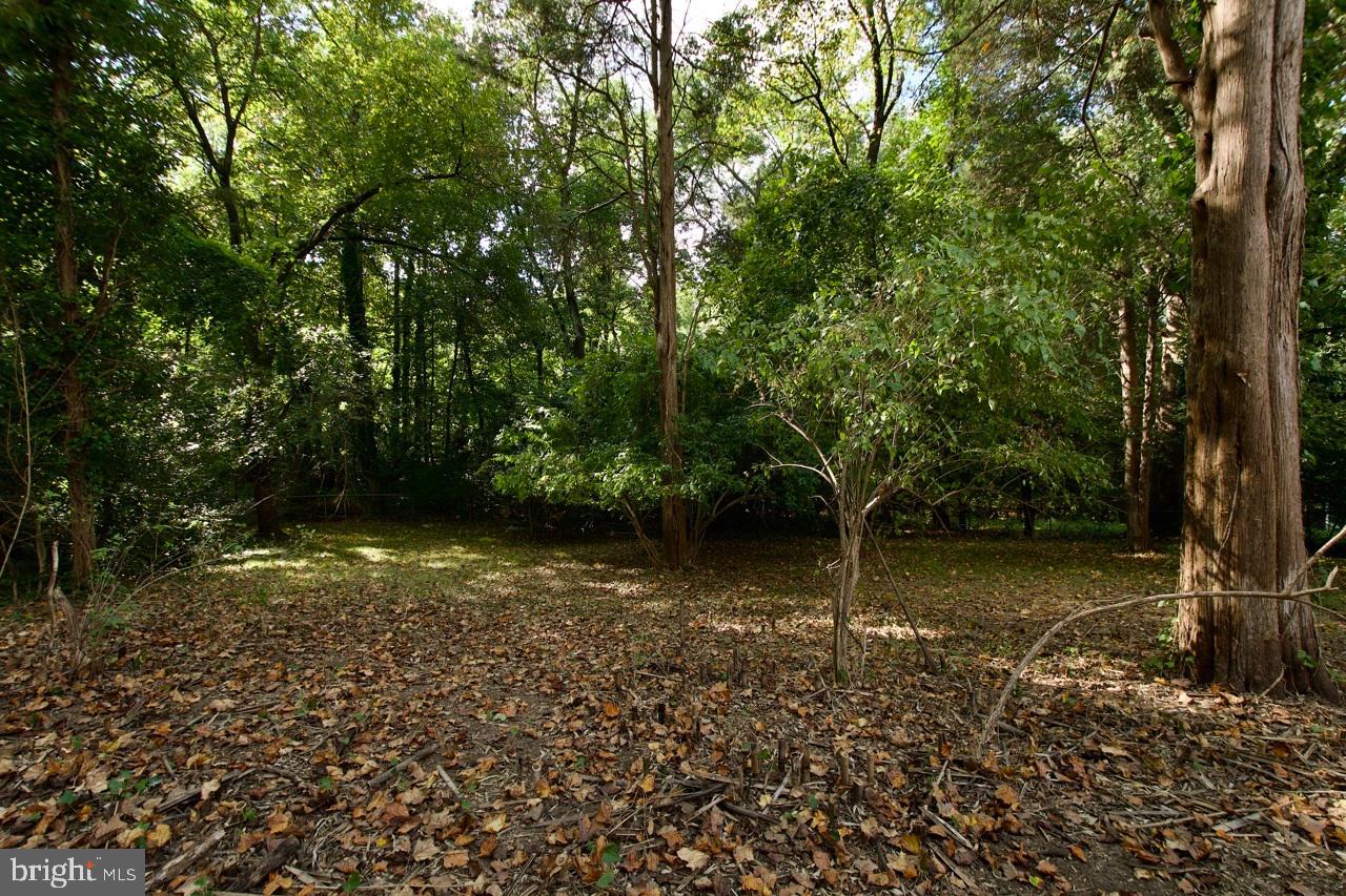 5708 NORTON ROAD