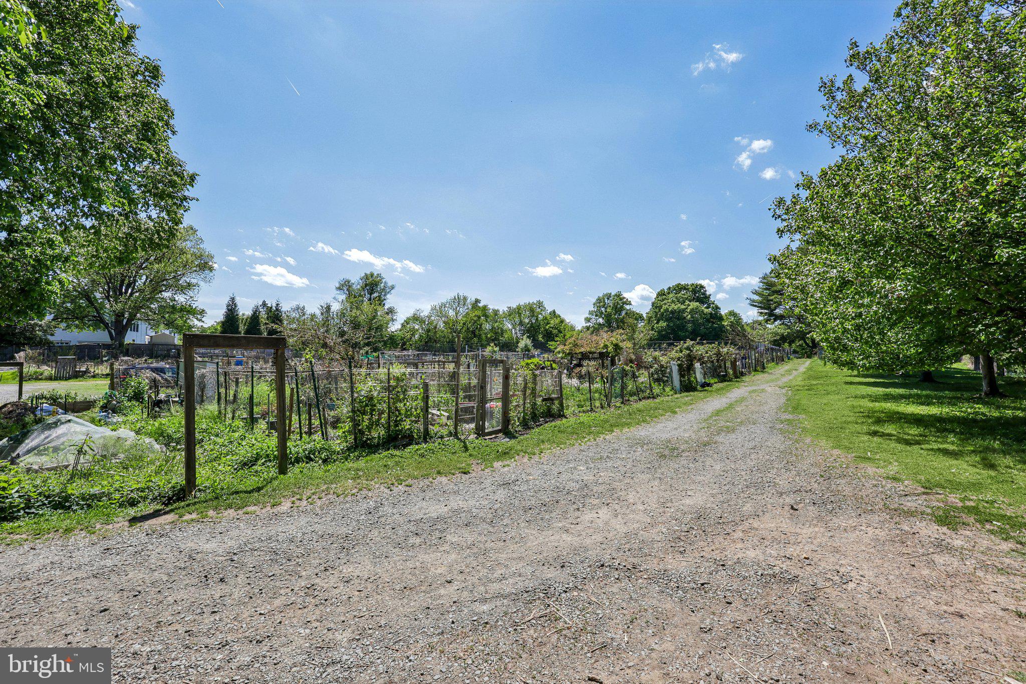 7008 HAMEL HILL COURT
