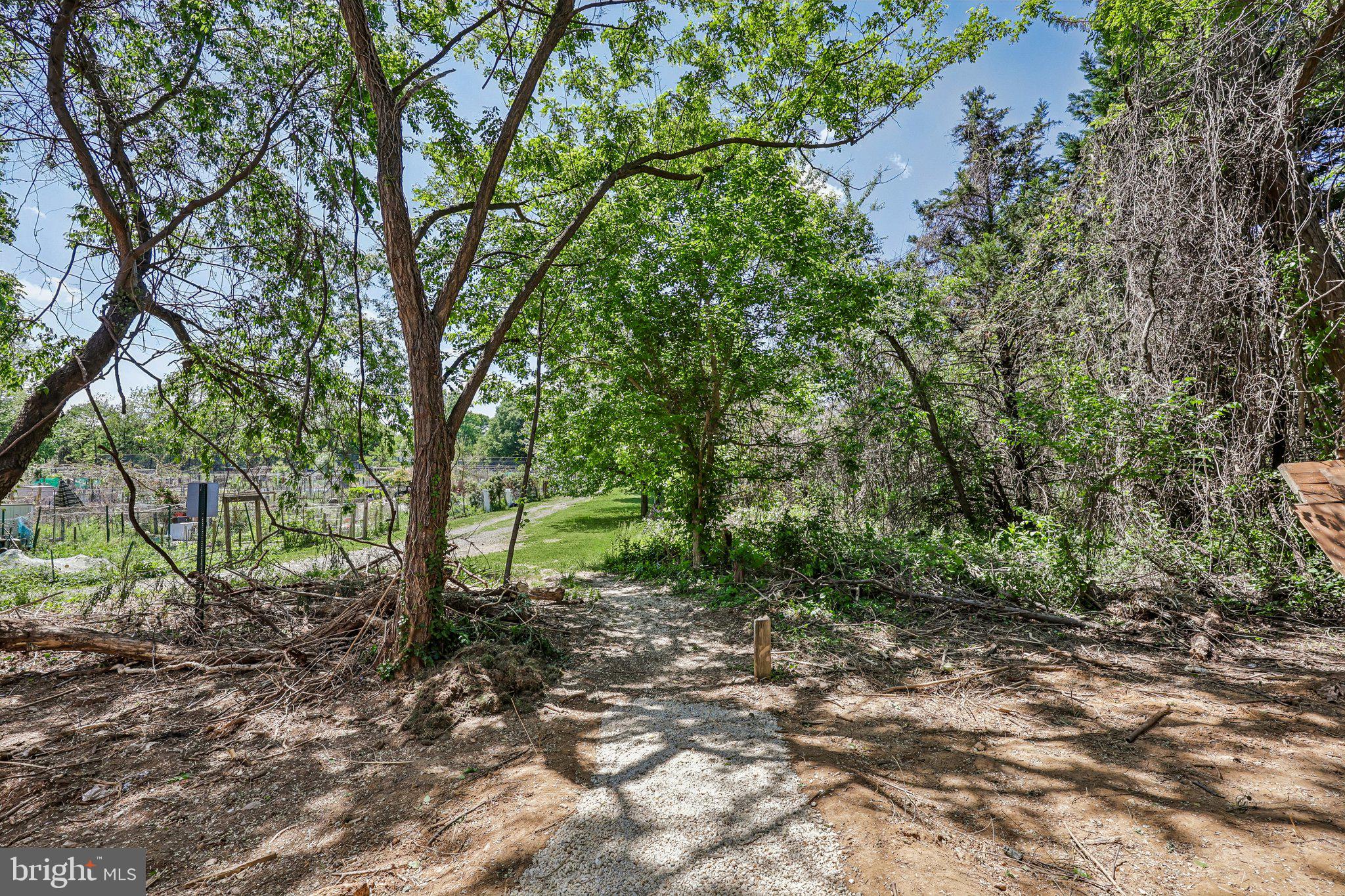 7008 HAMEL HILL COURT