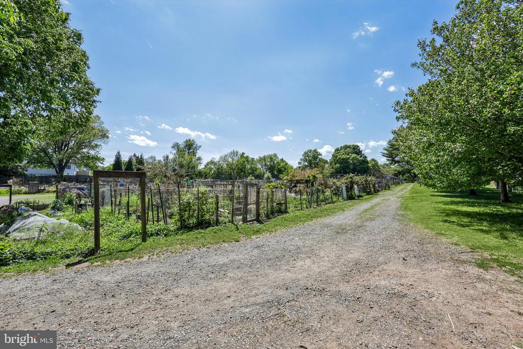 7008 HAMEL HILL COURT