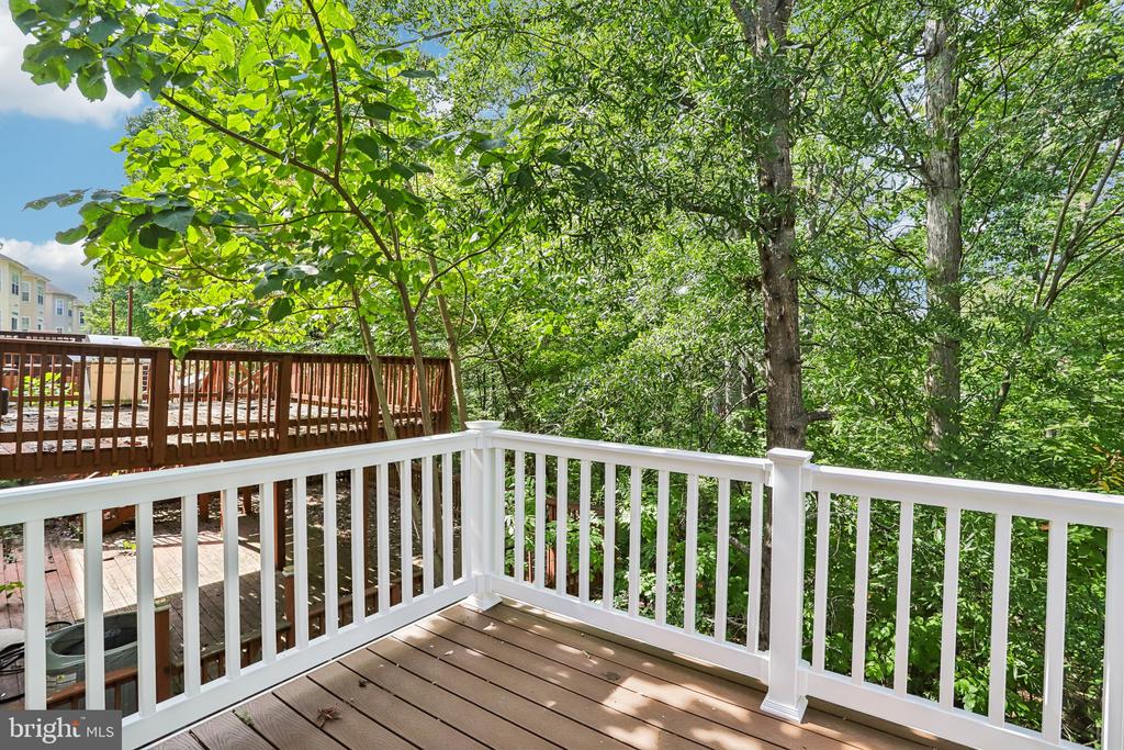 15230 LORD CULPEPER COURT