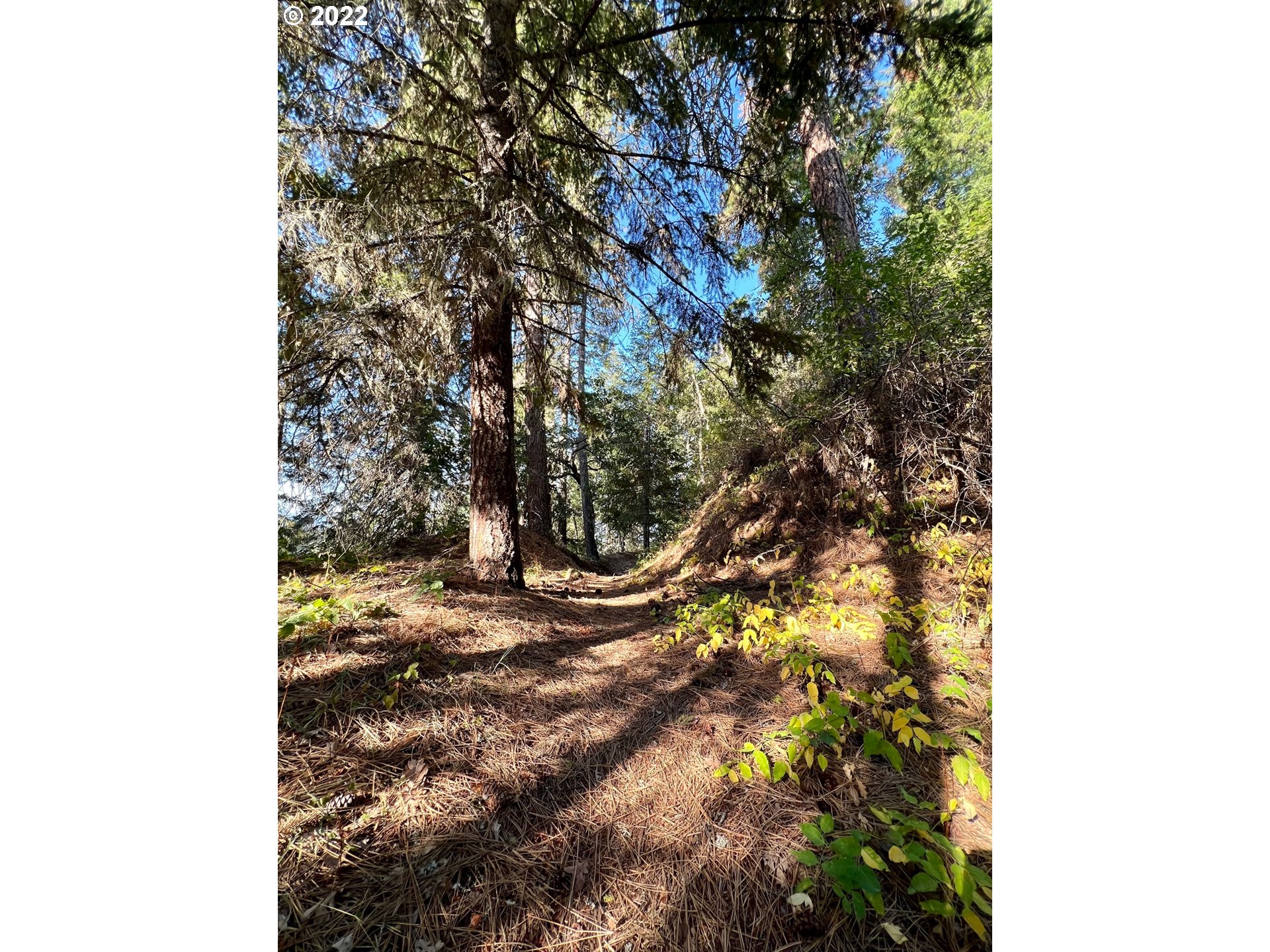 Baldwin Creek DR