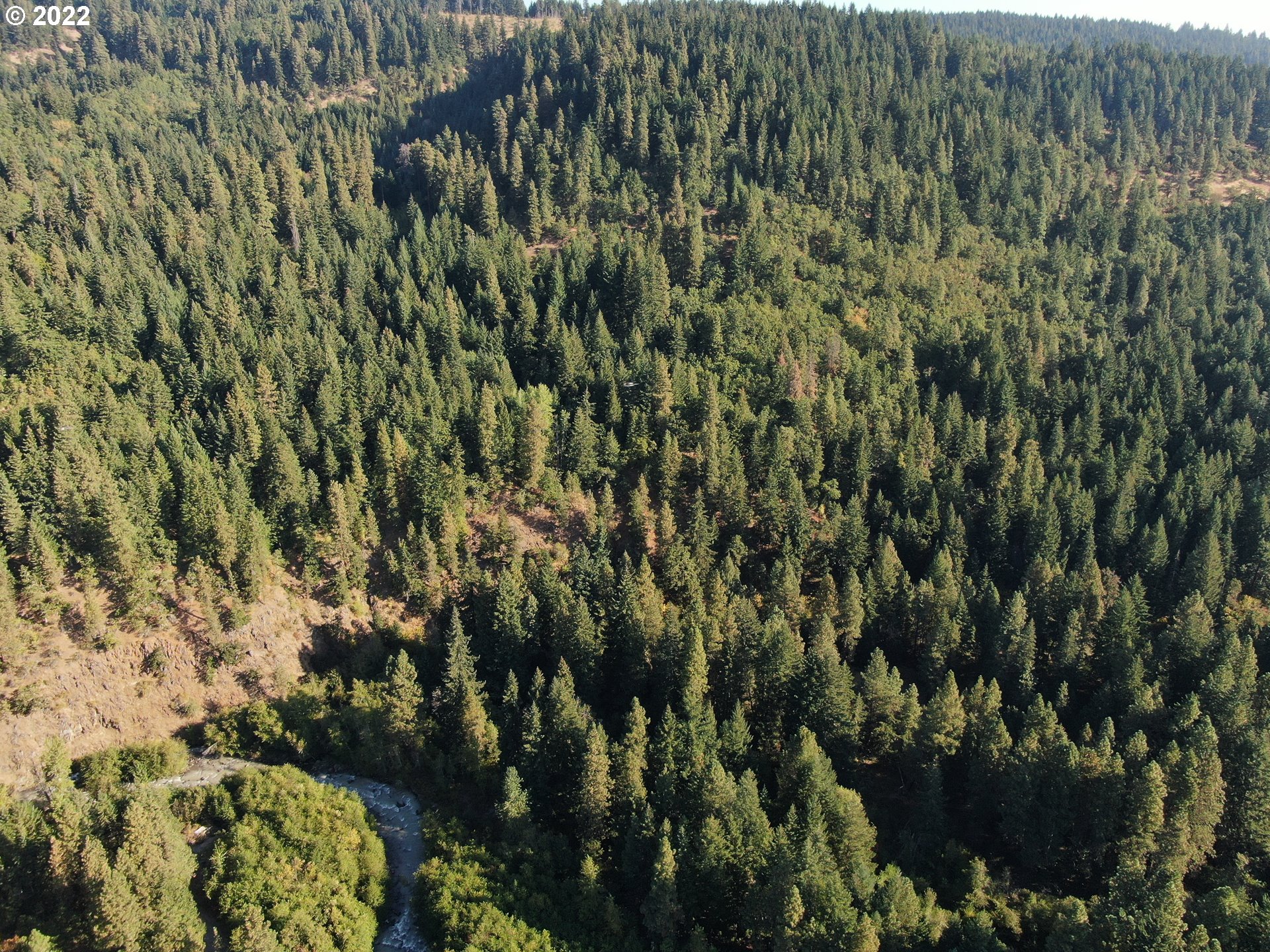 Baldwin Creek DR