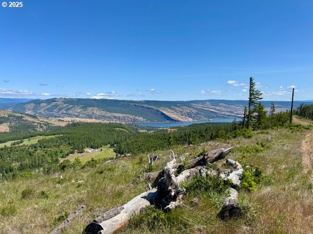 Huskey RD