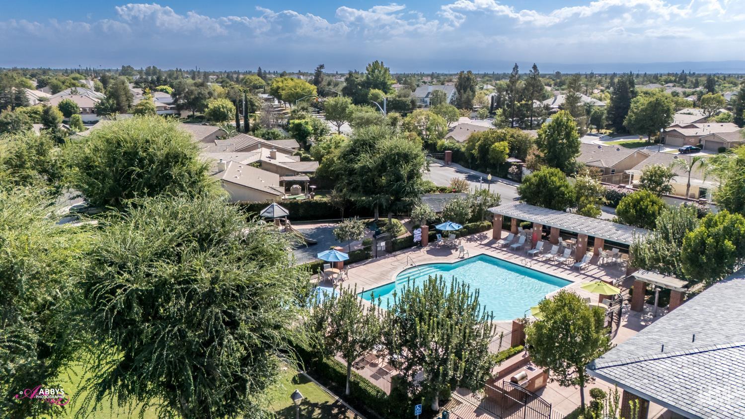 11814 Grecian Laurel Drive