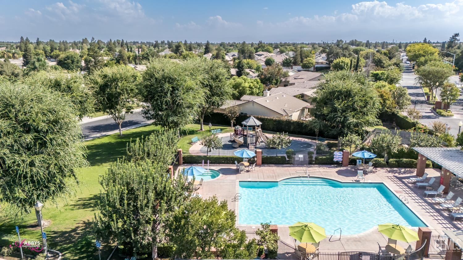 11814 Grecian Laurel Drive