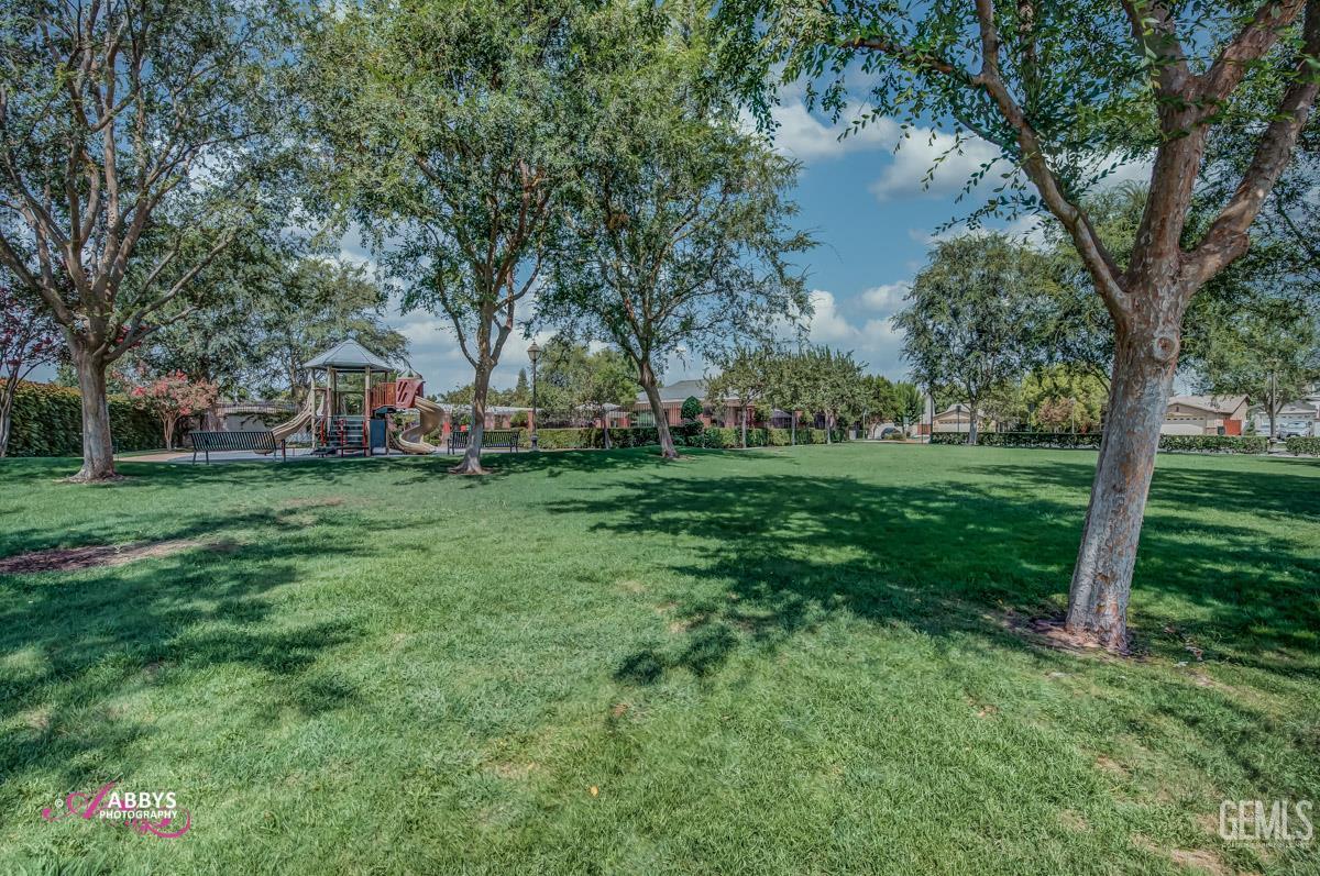 11814 Grecian Laurel Drive