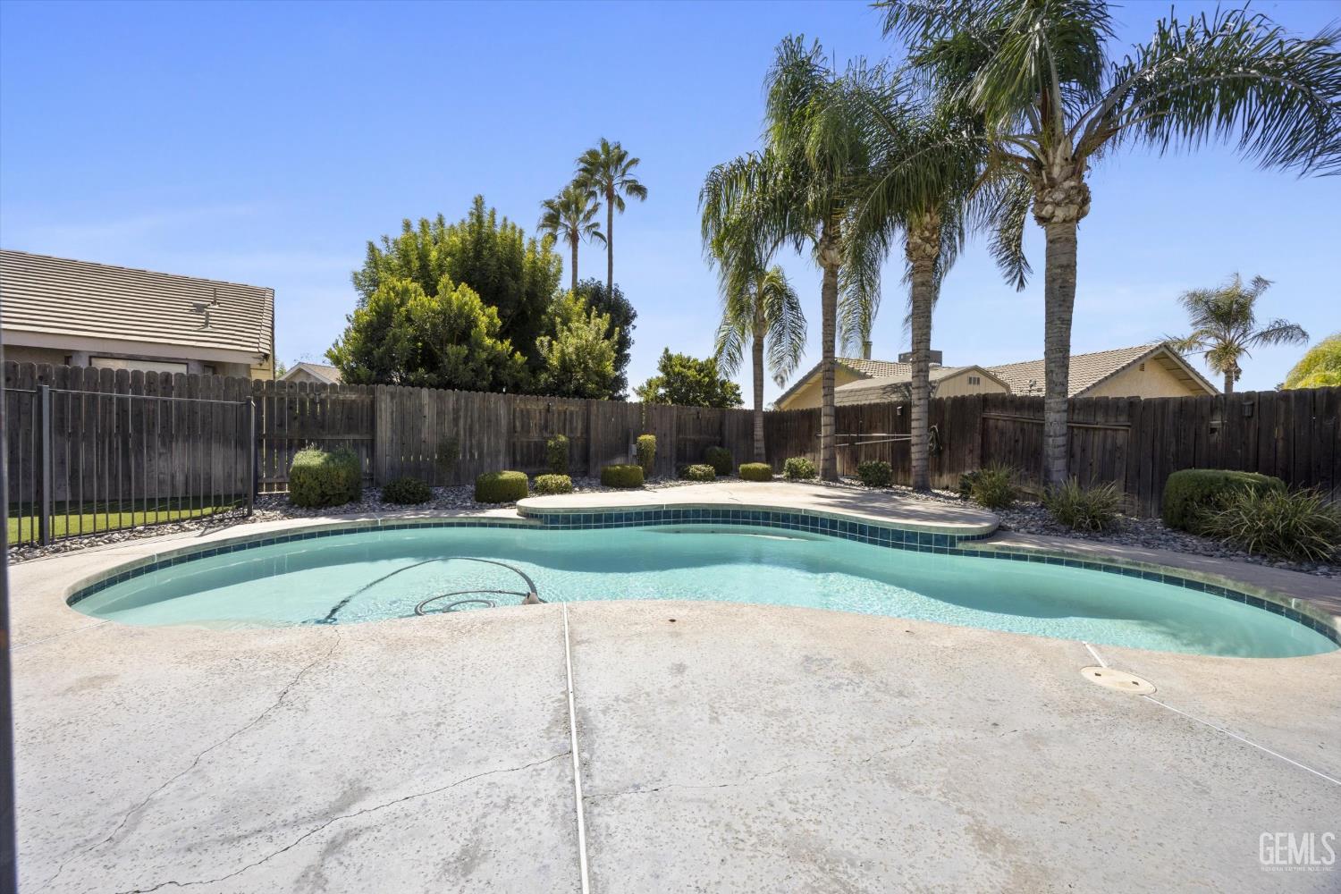 Curved backyard pool with a broad concrete deck, palm trees, and a tall wooden fence.