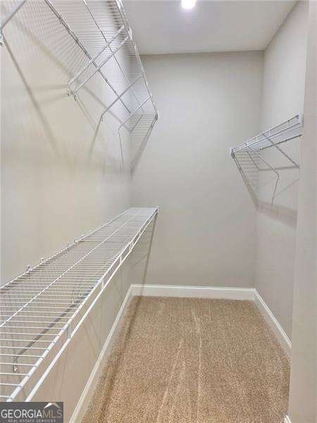 181 Delaney Pine Drive