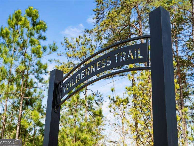 181 Delaney Pine Drive