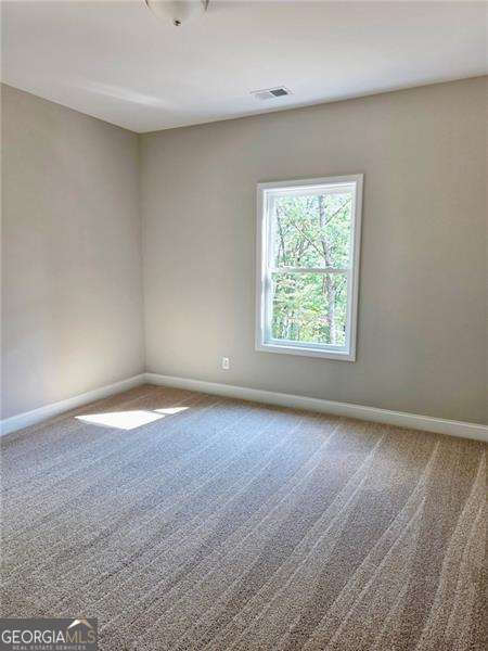 181 Delaney Pine Drive