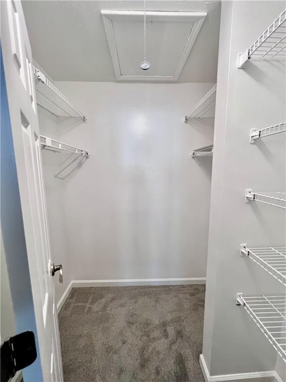 1372 Branch Drive