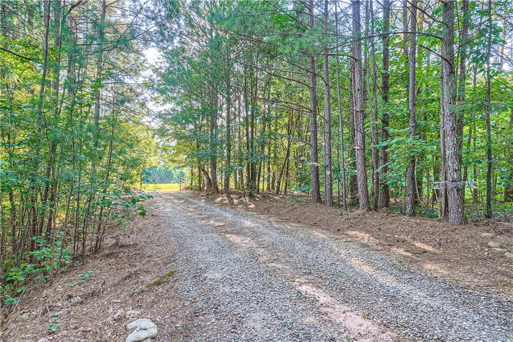 1565 Dr Bramblett Road