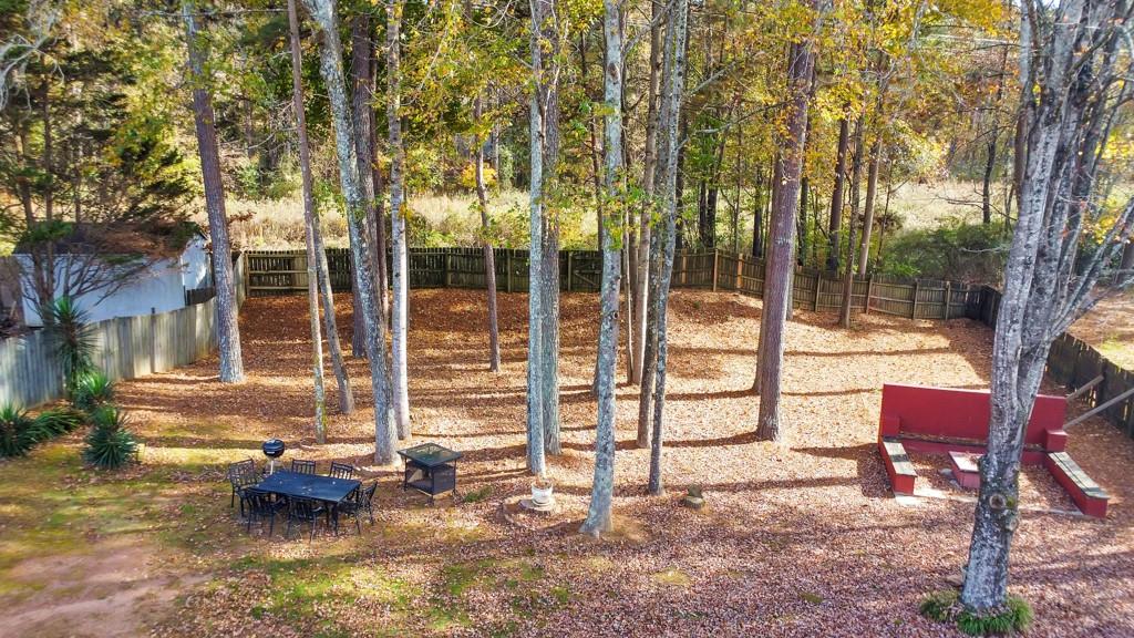 868 Ashley Crossing Lane