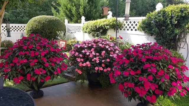 812 Cambron Commons Trace