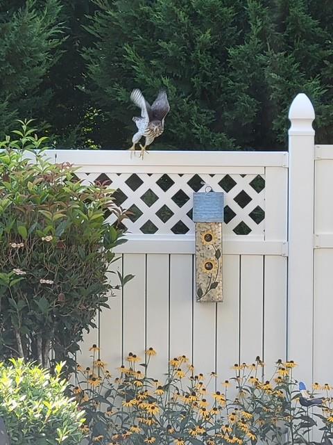 812 Cambron Commons Trace