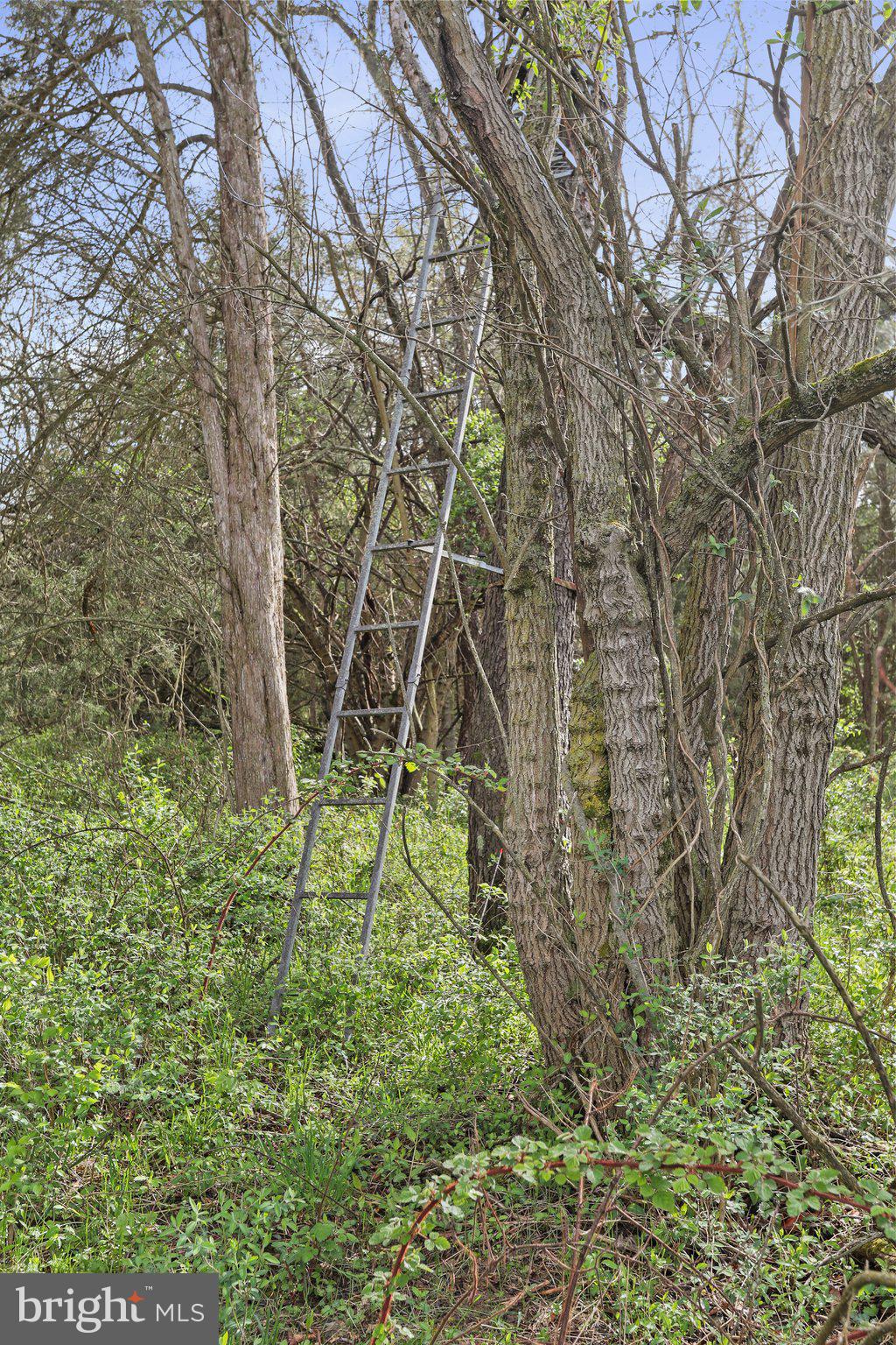 15542 BROADFORDING ROAD
