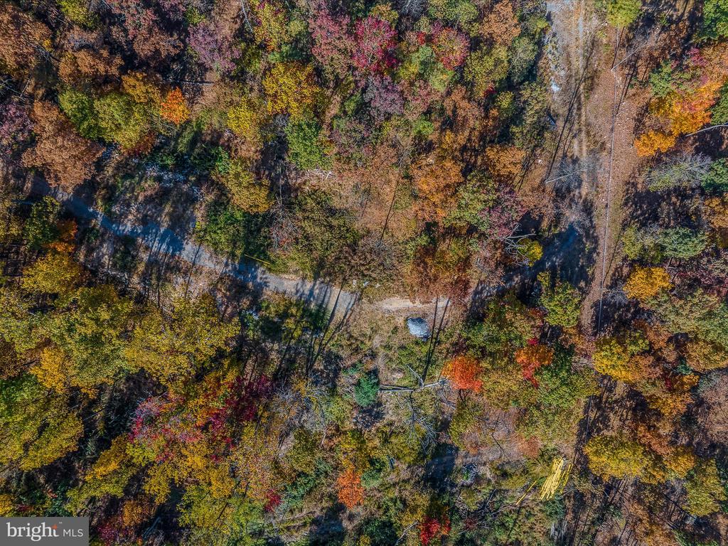 COPPERHEAD LANE
