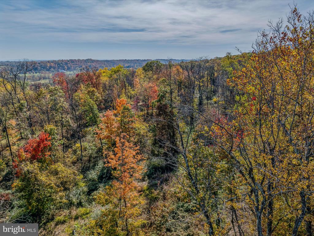 COPPERHEAD LANE