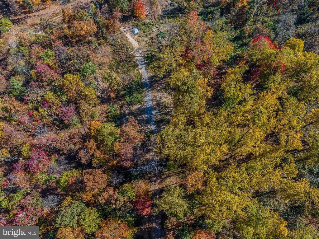 COPPERHEAD LANE