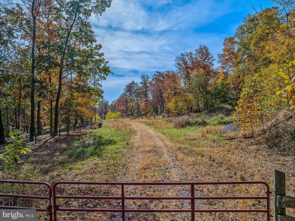 COPPERHEAD LANE