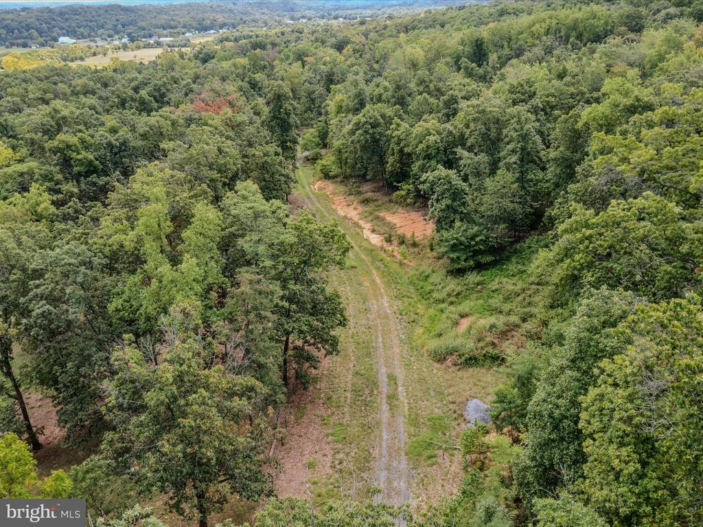 COPPERHEAD LANE
