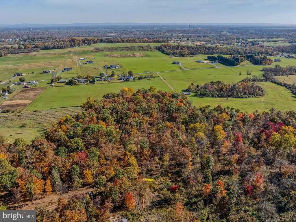 COPPERHEAD LANE
