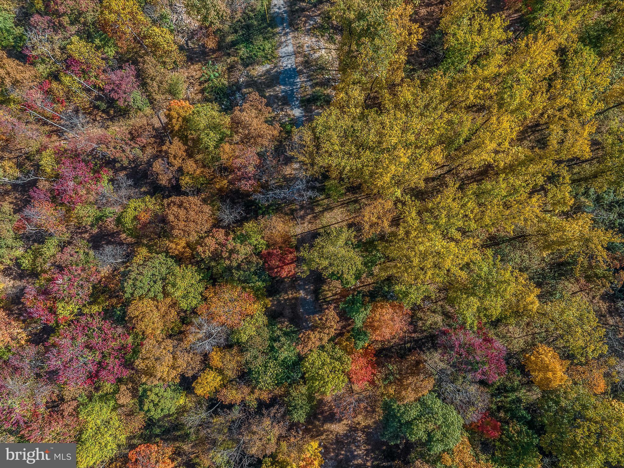 COPPERHEAD LANE