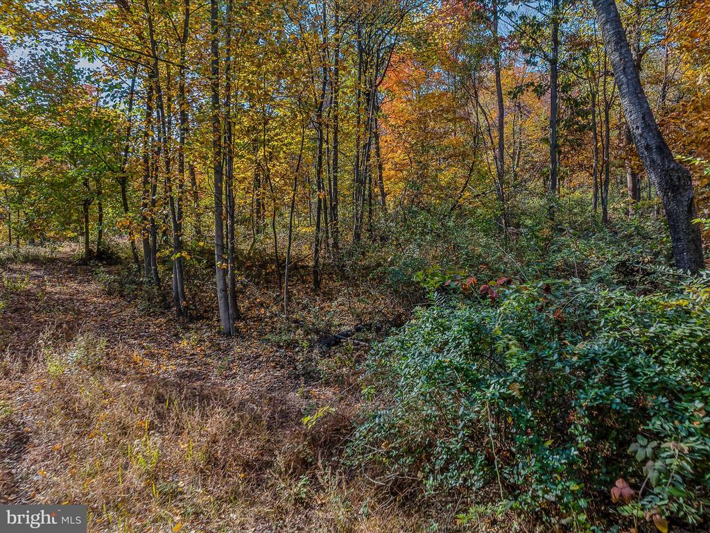 COPPERHEAD LANE