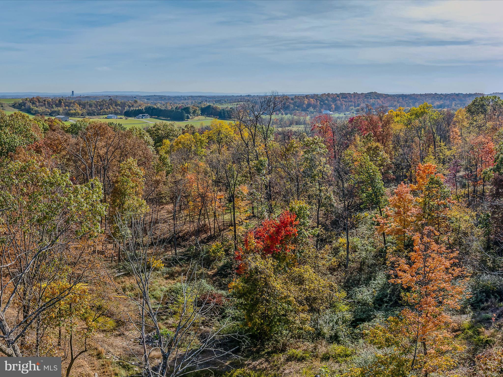 COPPERHEAD LANE