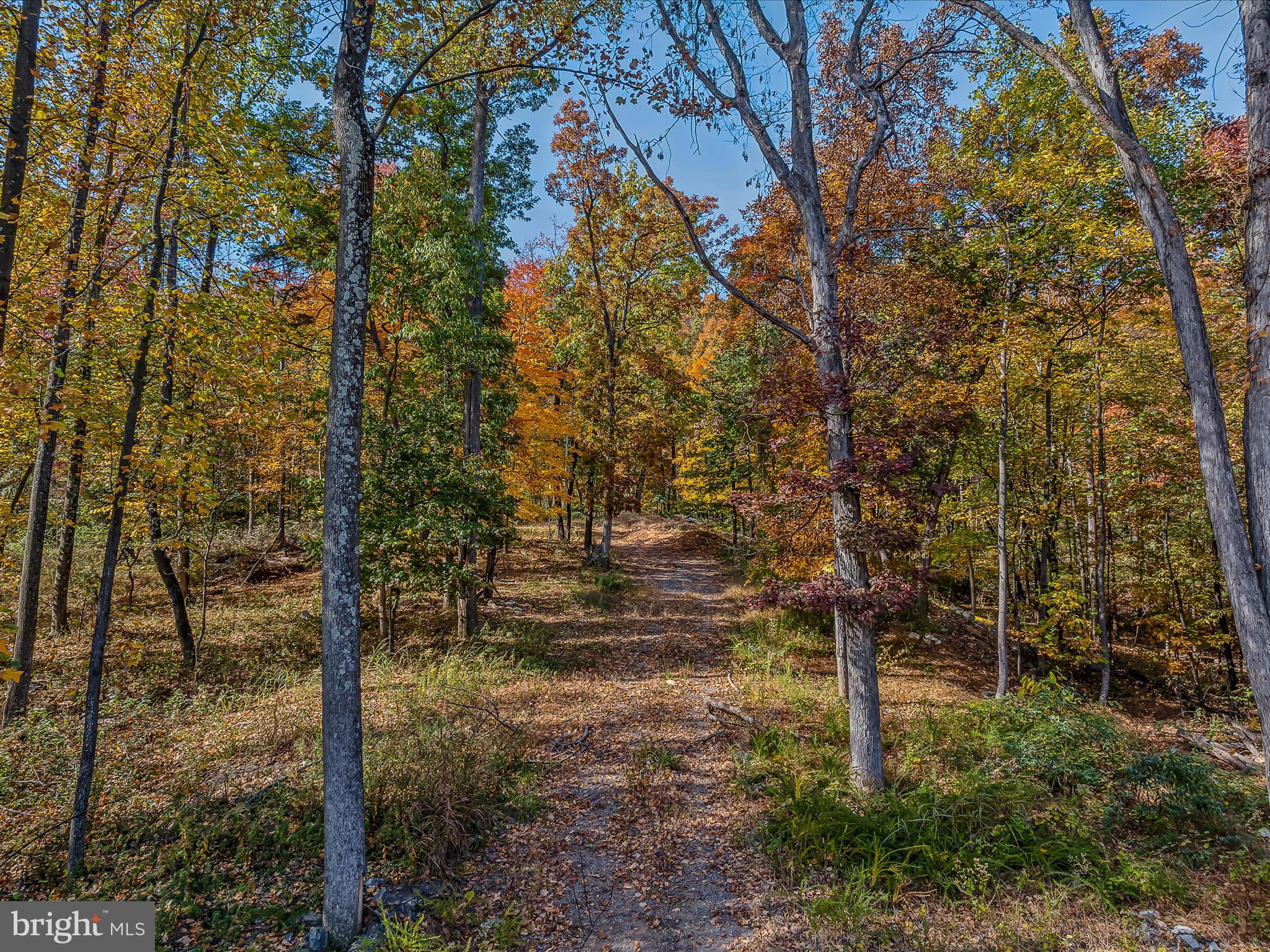 COPPERHEAD LANE