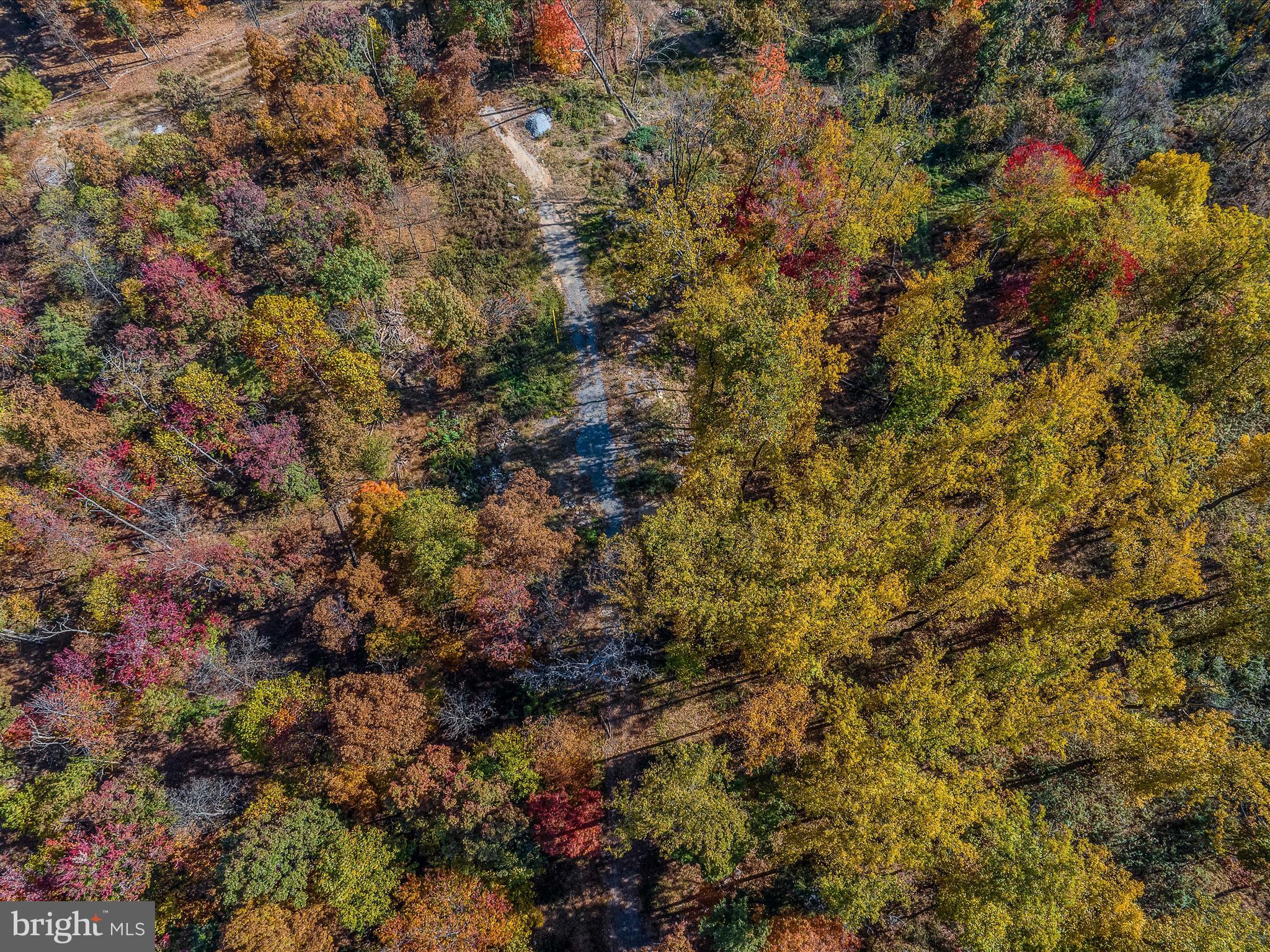 COPPERHEAD LANE