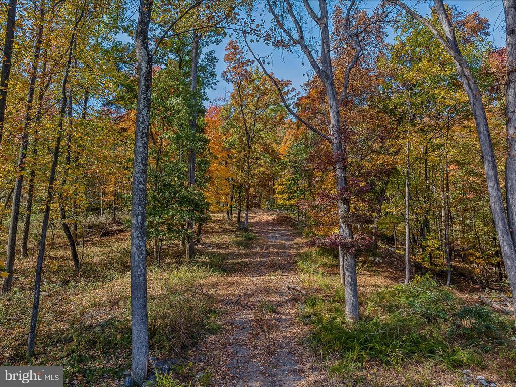 COPPERHEAD LANE