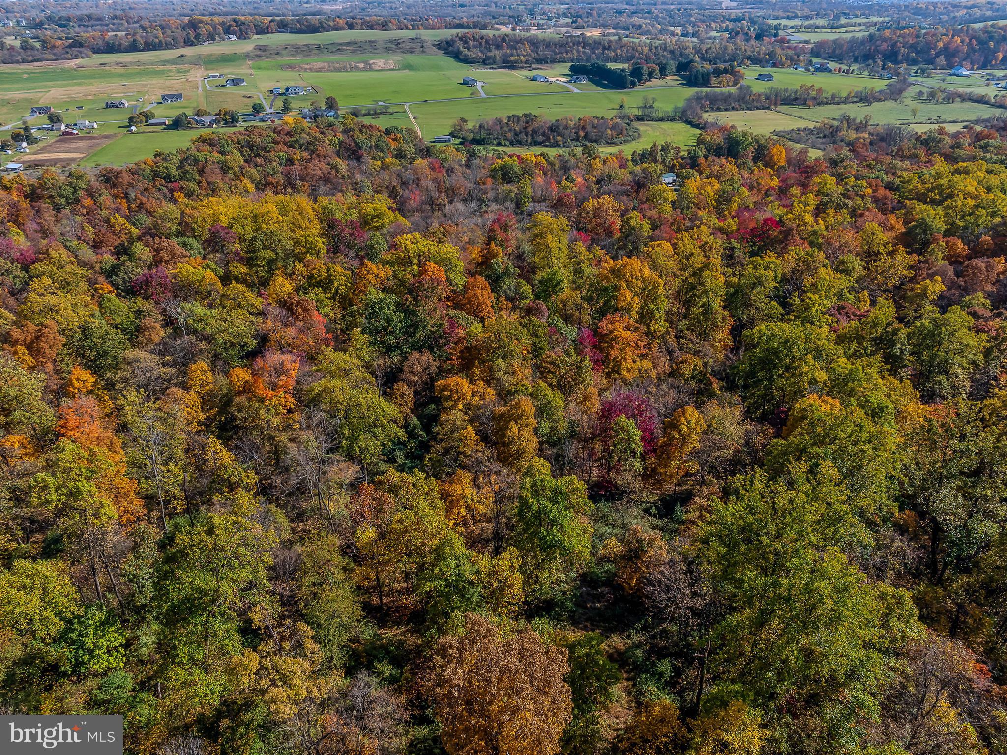 COPPERHEAD LANE