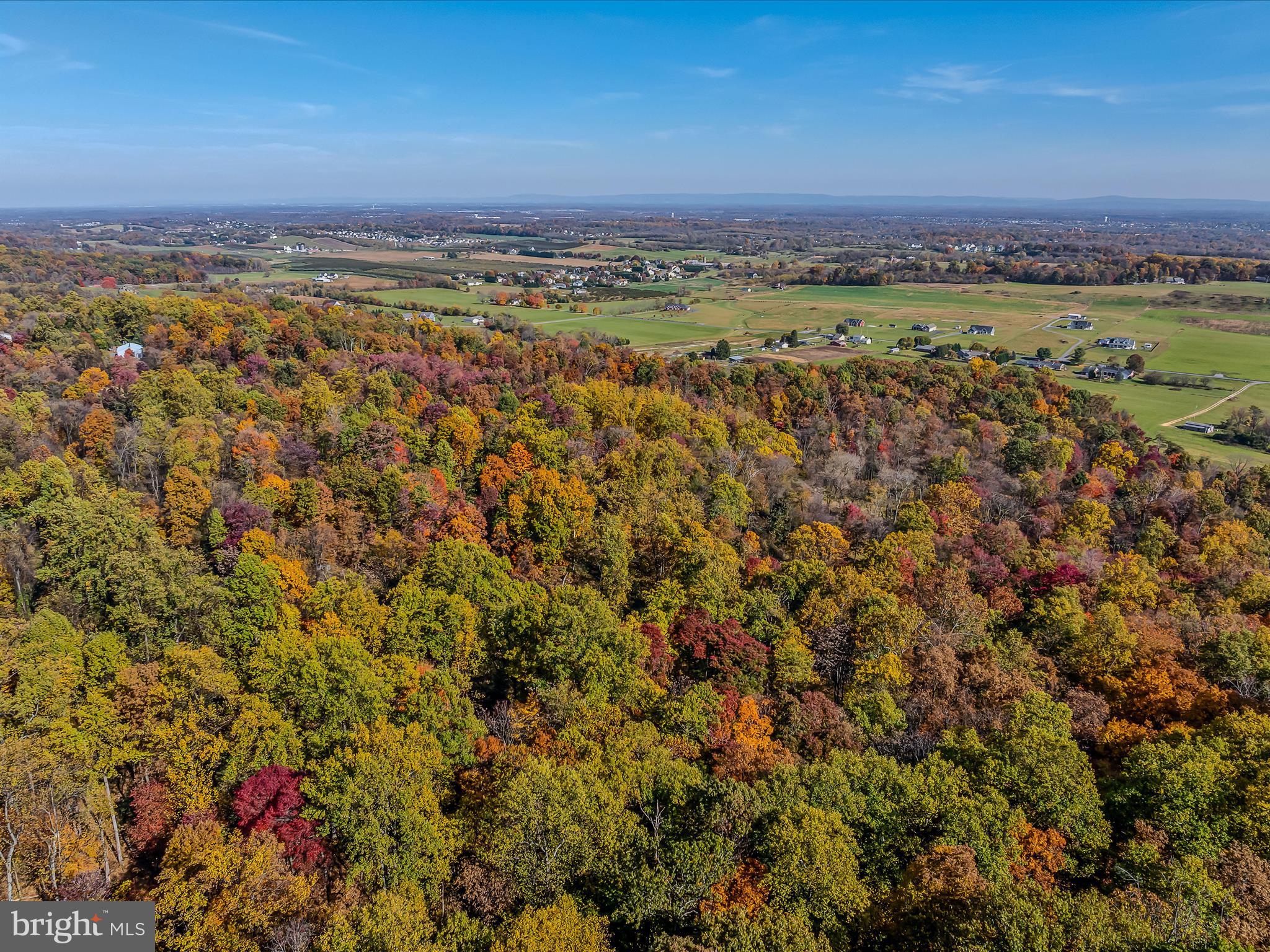 COPPERHEAD LANE