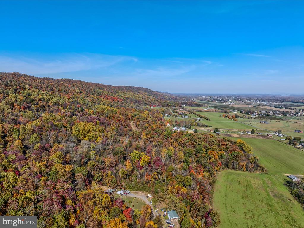 COPPERHEAD LANE