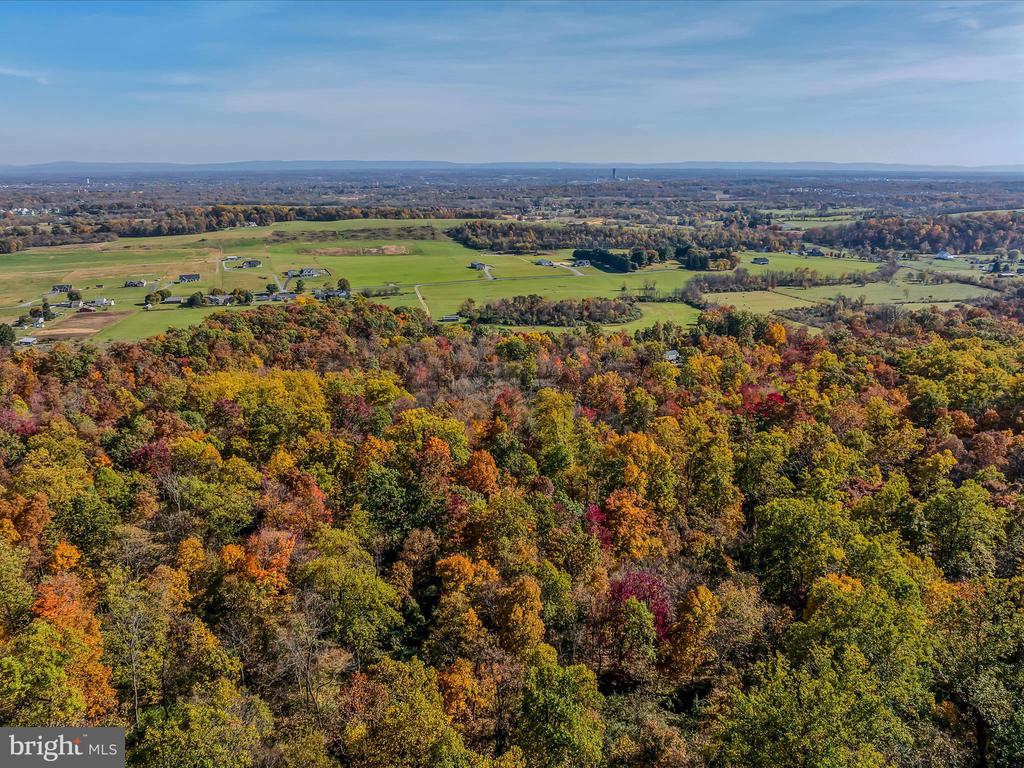 COPPERHEAD LANE