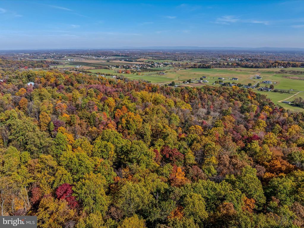 COPPERHEAD LANE