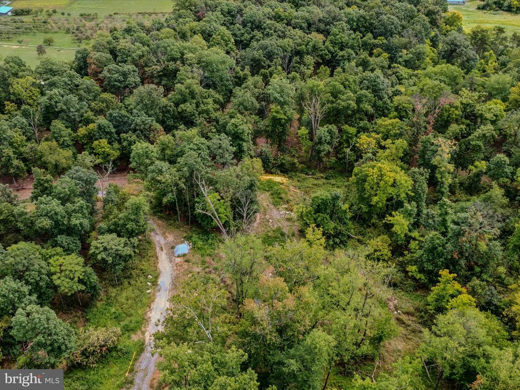 COPPERHEAD LANE