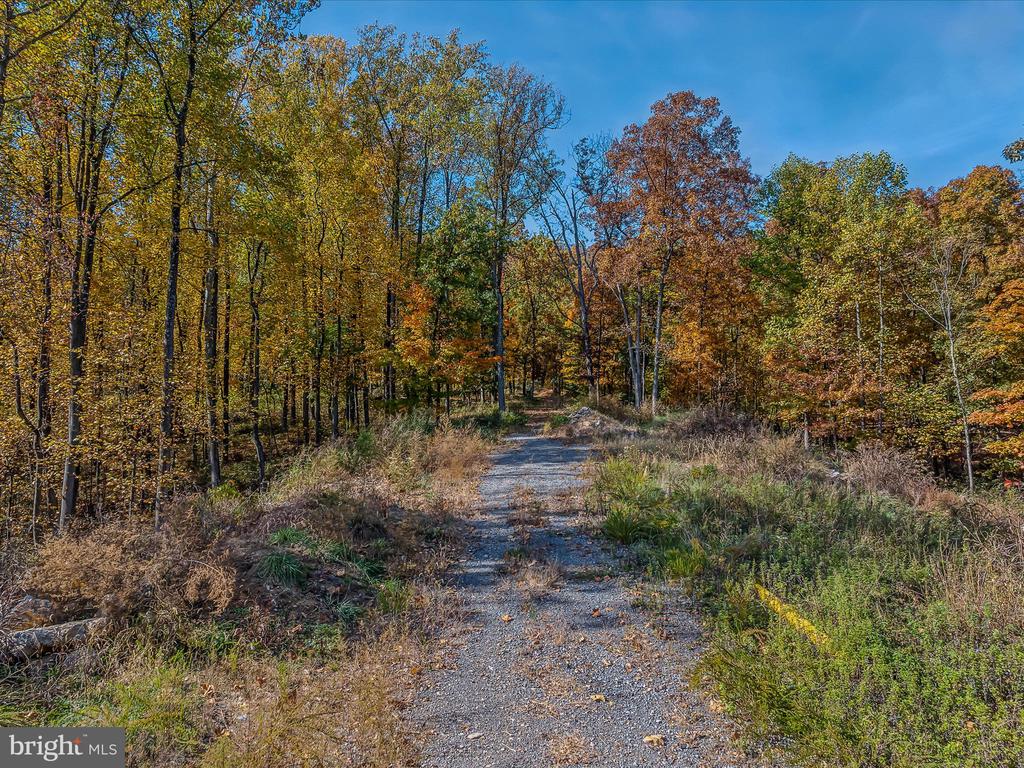 COPPERHEAD LANE