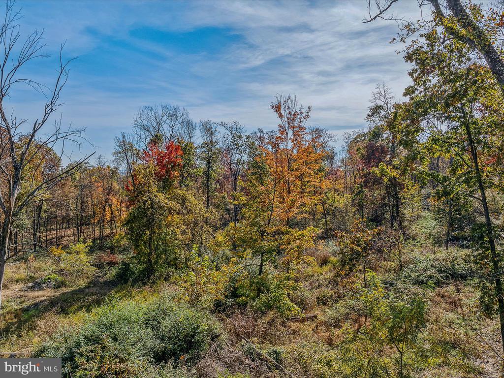 COPPERHEAD LANE